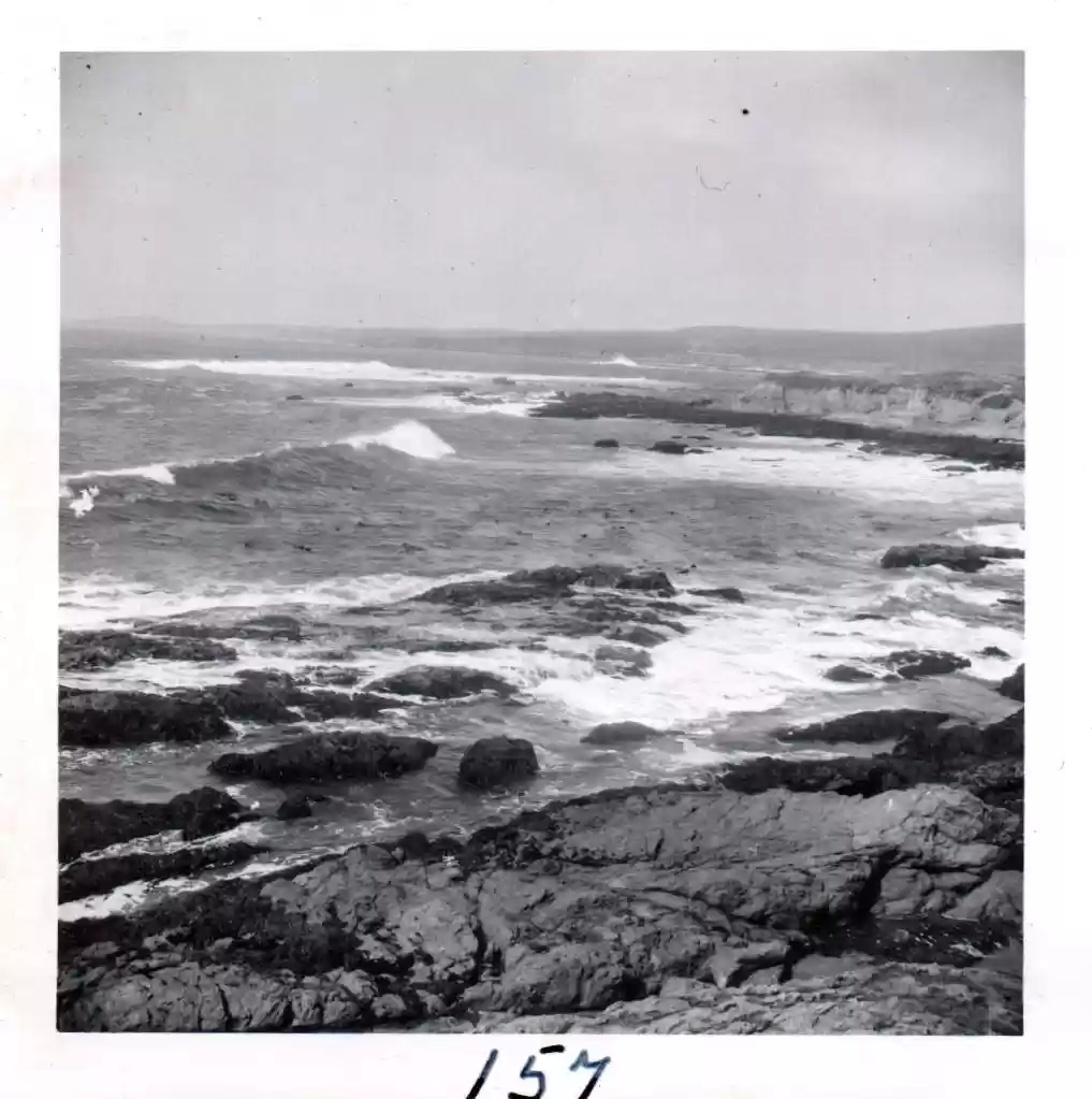 157 Scenery of Pacific Coast on way home